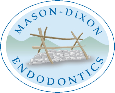 Mason-Dixon Endodontics