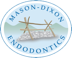 Link to Mason-Dixon Endodontics home page